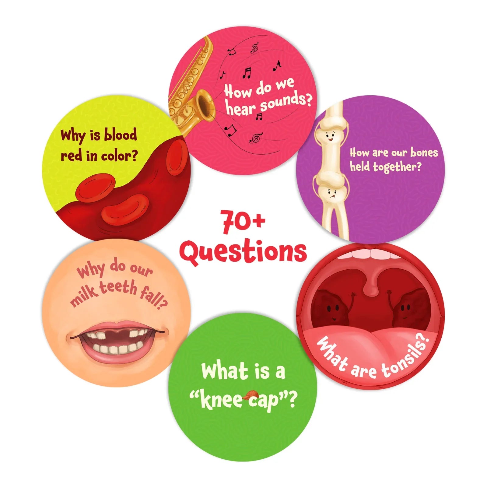 Science Snippets Kit | The Human Body (ages 7+)